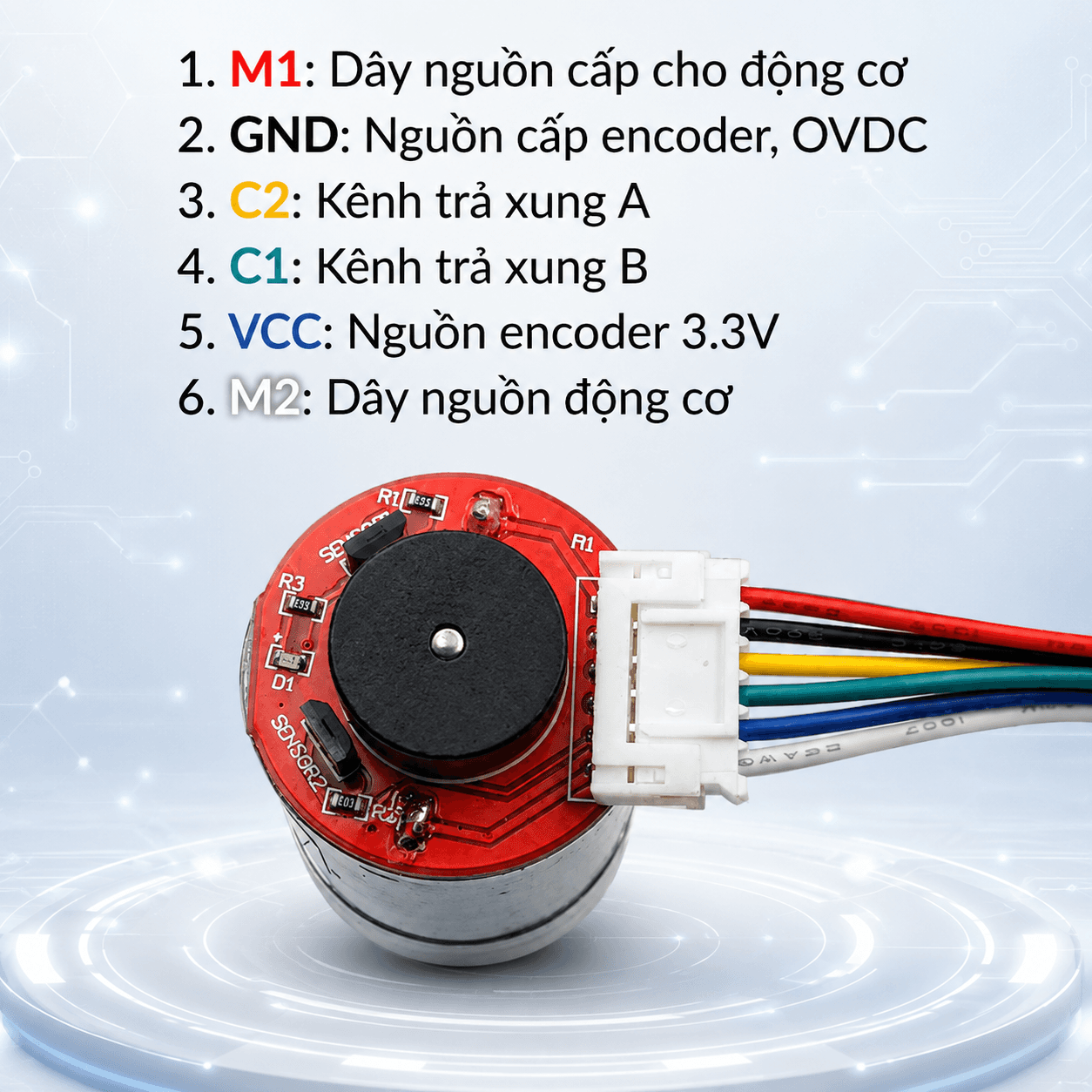 Sơ đồ chân encoder GA25: M1, GND, C2, C1, VCC, M2