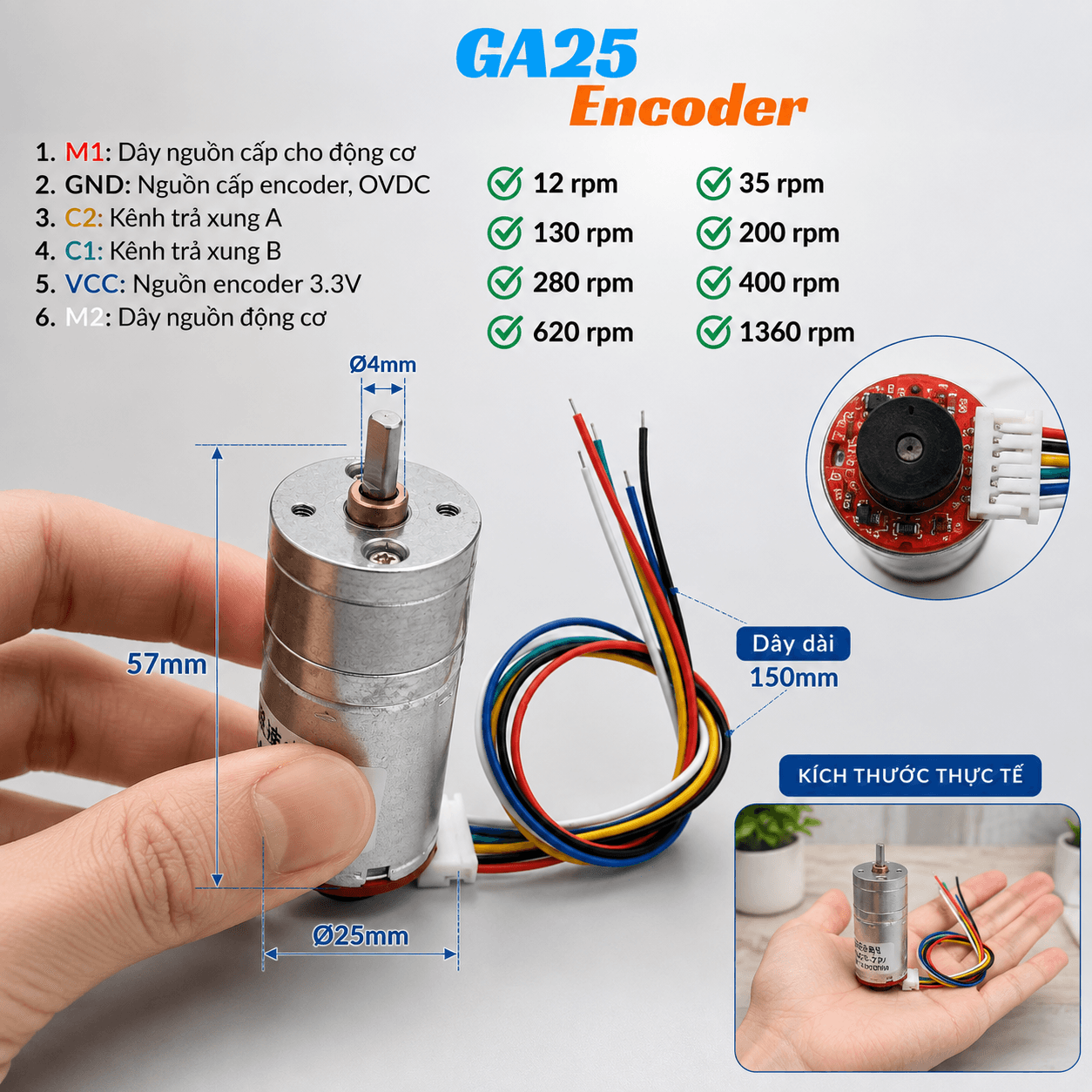 Động cơ GA25 cầm tay — kích thước thực tế so với bàn tay